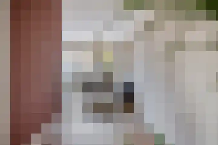 Vlasakker 11 Heino thumbnail 12