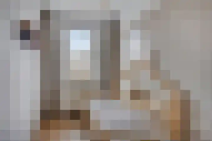 Vlasakker 11 Heino thumbnail 24