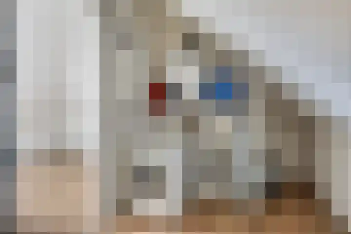 Vlasakker 11 Heino thumbnail 26