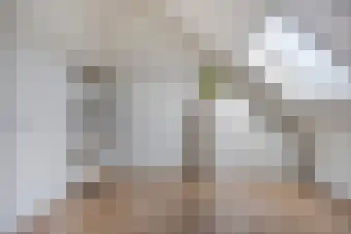 Vlasakker 11 Heino thumbnail 28