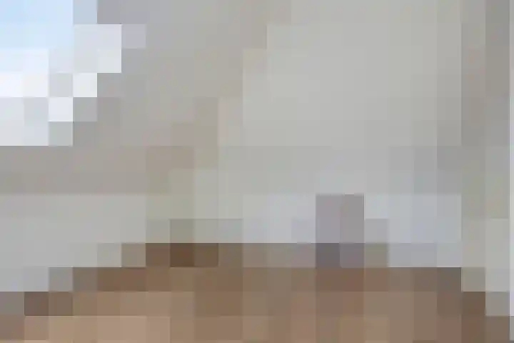 Vlasakker 11 Heino thumbnail 30