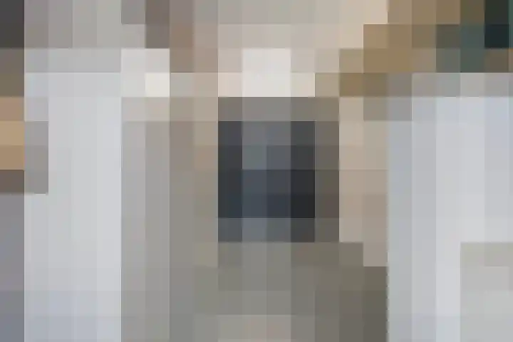 Vlasakker 11 Heino thumbnail 31