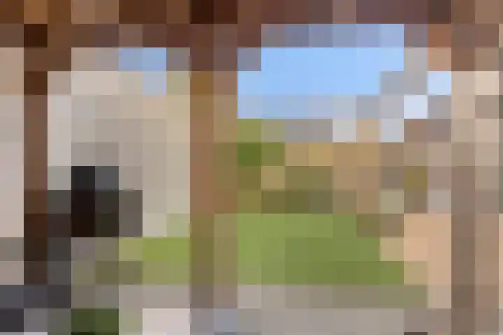Vlasakker 11 Heino thumbnail 35