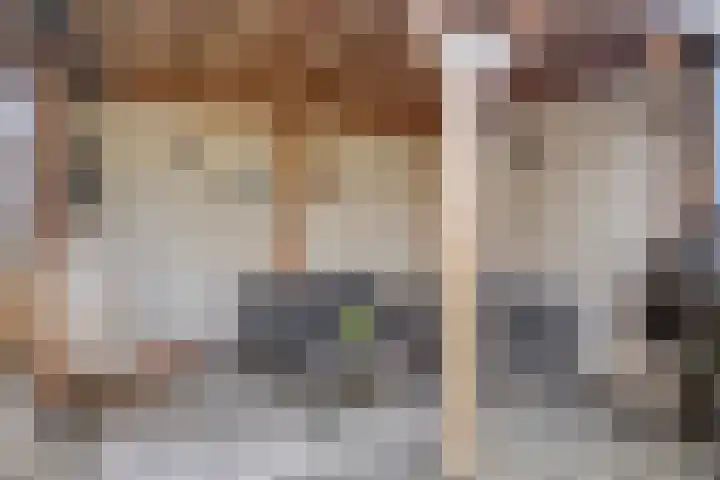 Vlasakker 11 Heino thumbnail 38