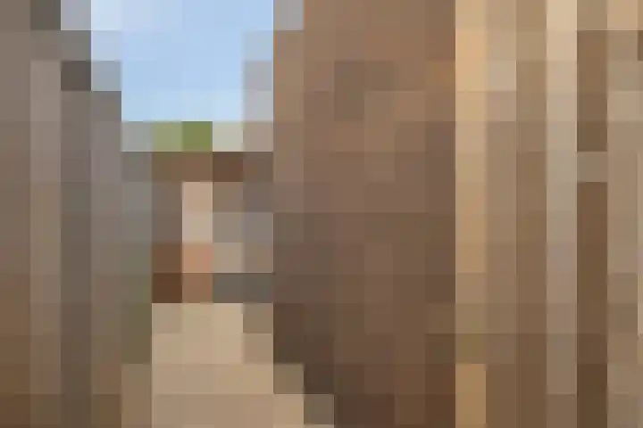 Vlasakker 11 Heino thumbnail 39