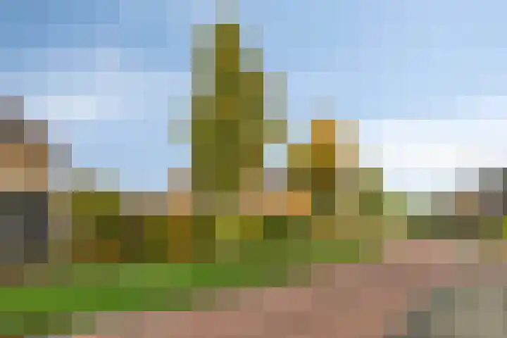 Vlasakker 11 Heino thumbnail 40