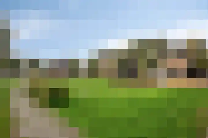 Vlasakker 11 Heino thumbnail 41