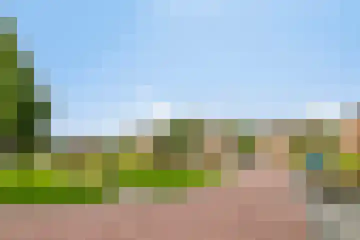 Vlasakker 11 Heino thumbnail 42