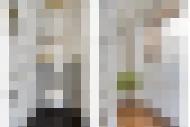 Vlasakker 11 Heino thumbnail 5
