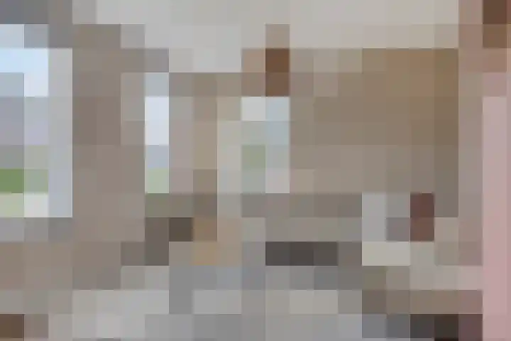 Vlasakker 11 Heino thumbnail 6