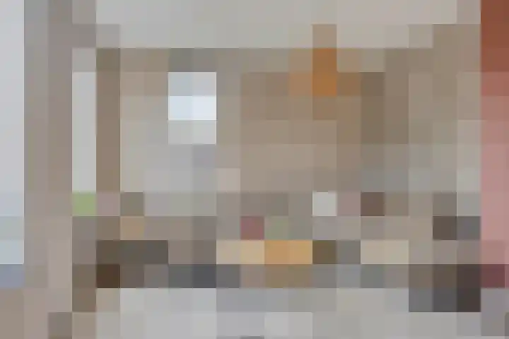 Vlasakker 11 Heino thumbnail 7