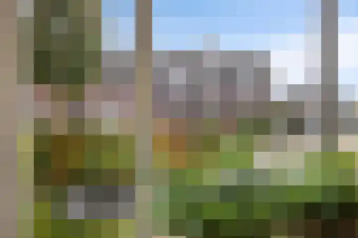 Vlasakker 11 Heino thumbnail 9