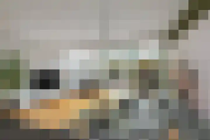 Vlasakker 11 Zoetermeer thumbnail 14