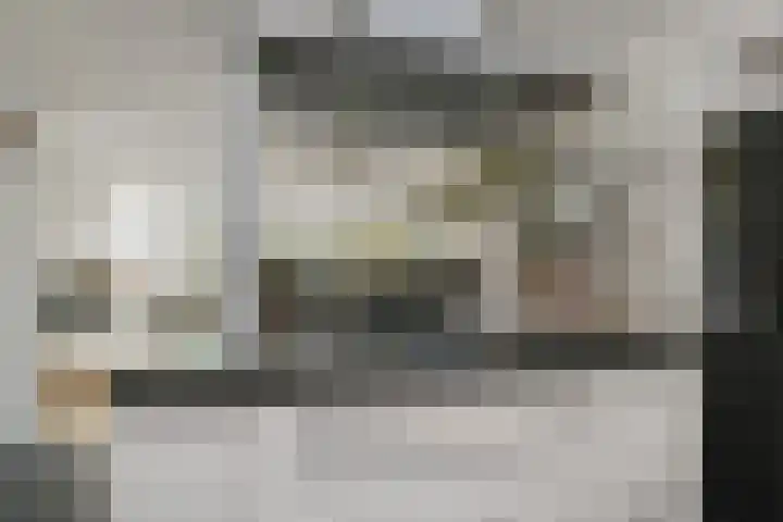 Vlasakker 11 Zoetermeer thumbnail 16