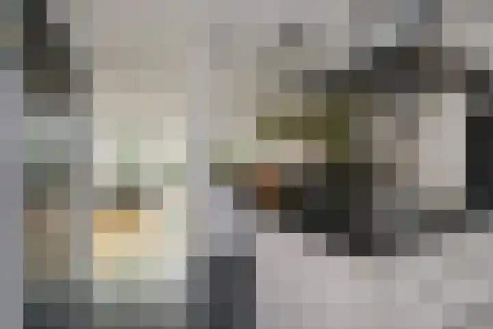 Vlasakker 11 Zoetermeer thumbnail 17