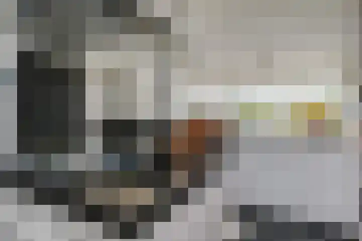Vlasakker 11 Zoetermeer thumbnail 18