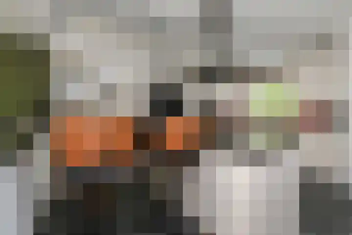 Vlasakker 11 Zoetermeer thumbnail 20