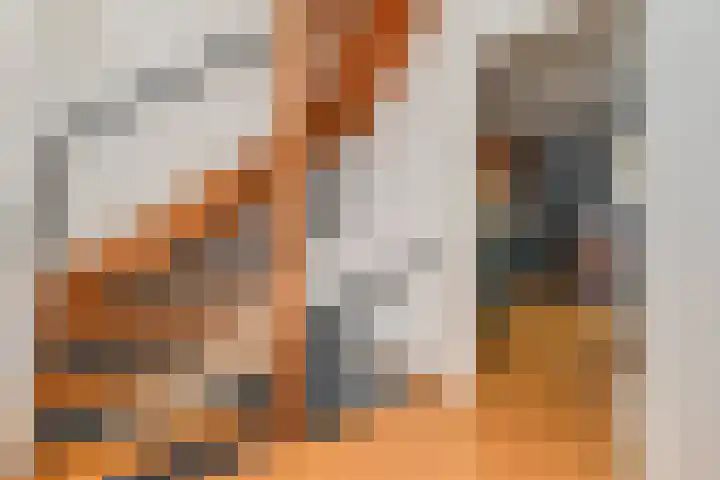 Vlasakker 11 Zoetermeer thumbnail 28