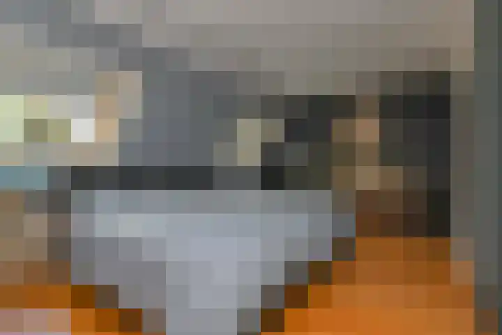 Vlasakker 11 Zoetermeer thumbnail 29