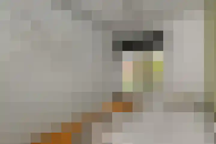 Vlasakker 11 Zoetermeer thumbnail 30