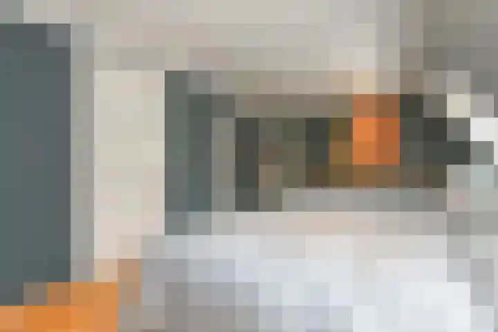 Vlasakker 11 Zoetermeer thumbnail 32