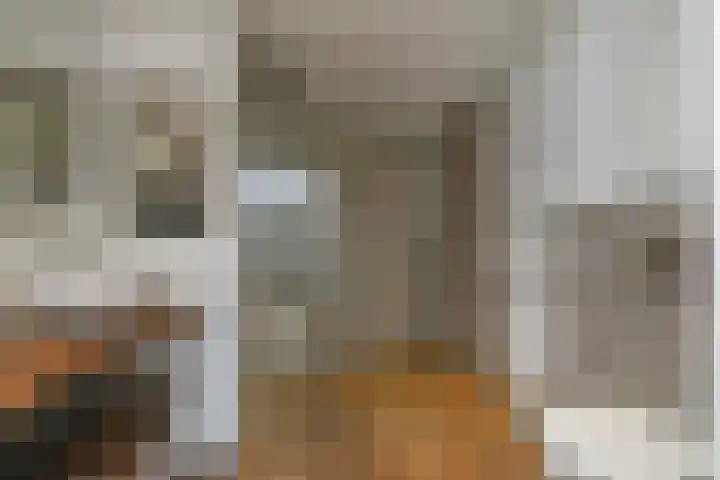 Vlasakker 11 Zoetermeer thumbnail 36