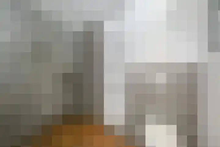 Vlasakker 11 Zoetermeer thumbnail 37