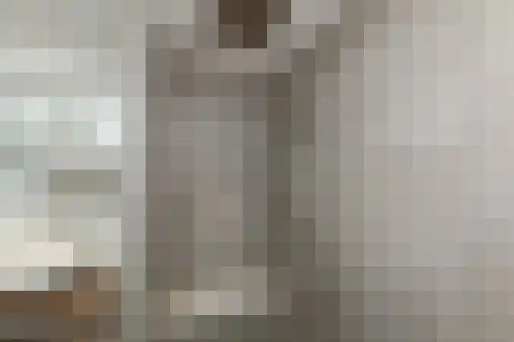 Vlasakker 11 Zoetermeer thumbnail 39