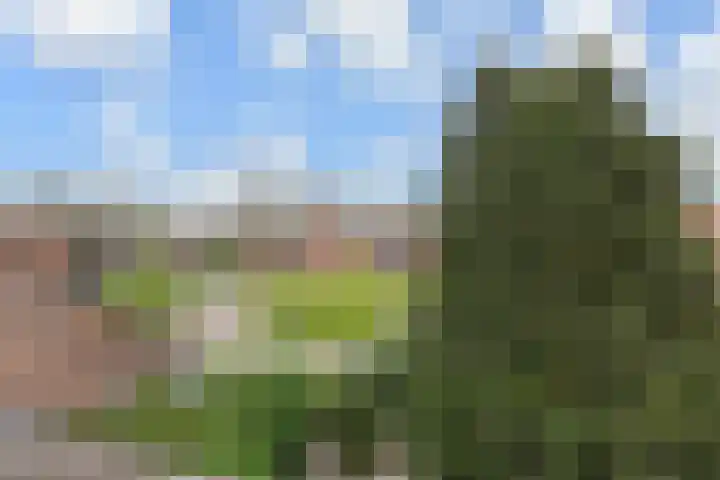 Vlasakker 11 Zoetermeer thumbnail 43