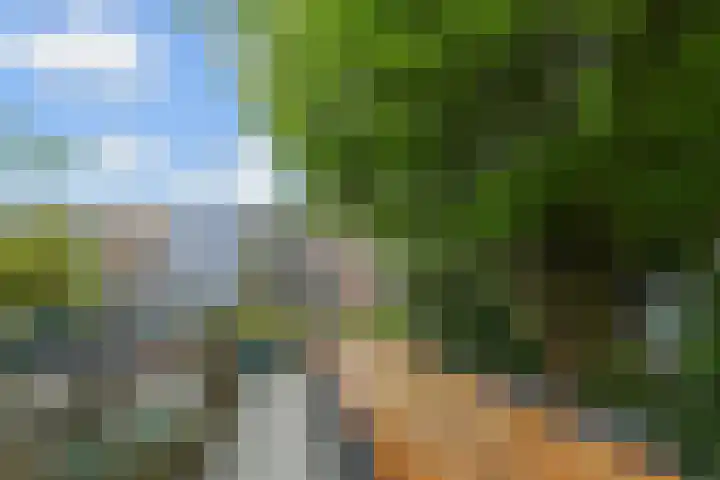 Vlasakker 11 Zoetermeer thumbnail 44