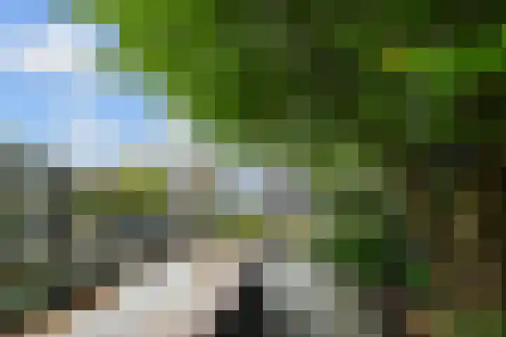 Vlasakker 11 Zoetermeer thumbnail 45