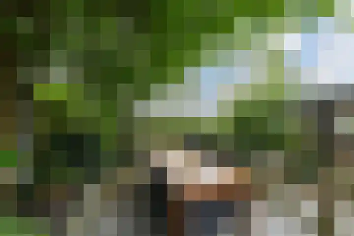 Vlasakker 11 Zoetermeer thumbnail 47