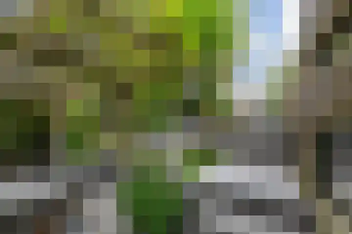 Vlasakker 11 Zoetermeer thumbnail 49