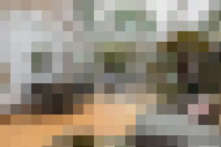 Vlasakker 11 Zoetermeer thumbnail 5