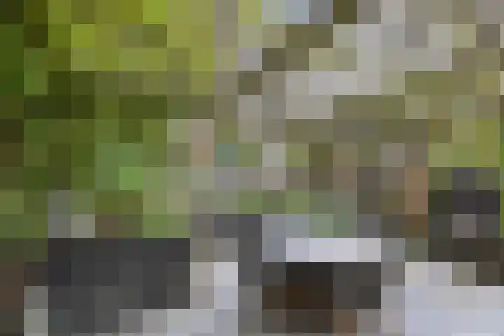 Vlasakker 11 Zoetermeer thumbnail 50