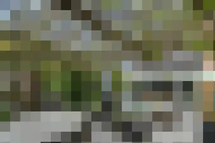 Vlasakker 11 Zoetermeer thumbnail 52