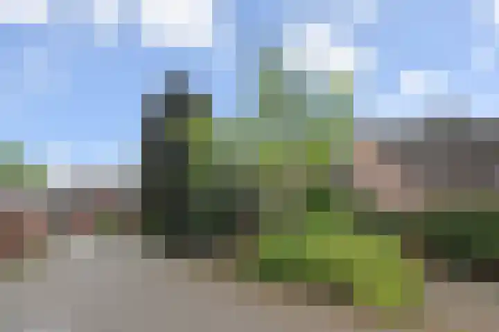 Vlasakker 11 Zoetermeer thumbnail 55