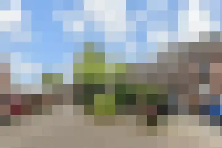 Vlasakker 11 Zoetermeer thumbnail 56