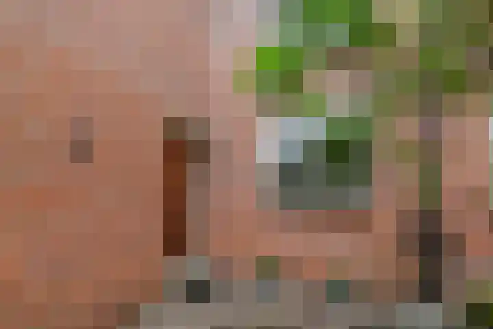 Vlasakker 11 Zoetermeer thumbnail 57