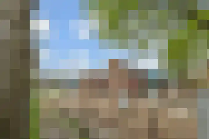 Vlasakker 11 Zoetermeer thumbnail 58