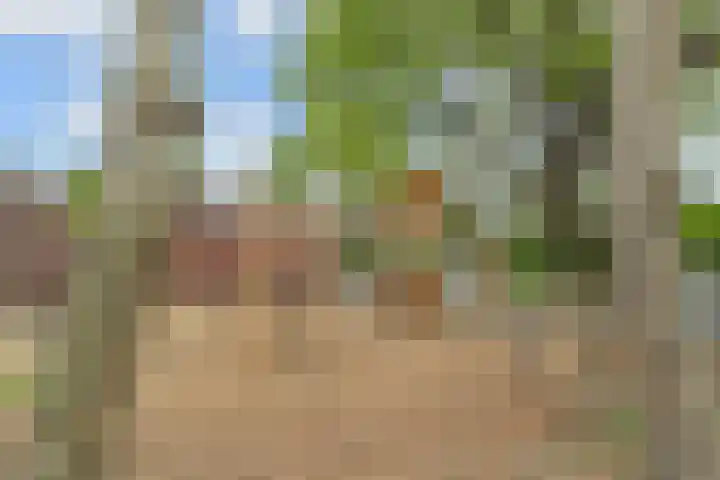 Vlasakker 11 Zoetermeer thumbnail 59