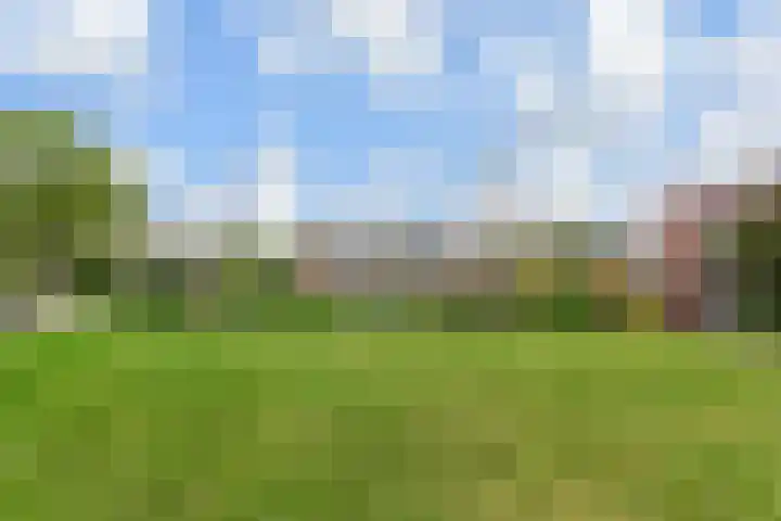 Vlasakker 11 Zoetermeer thumbnail 61