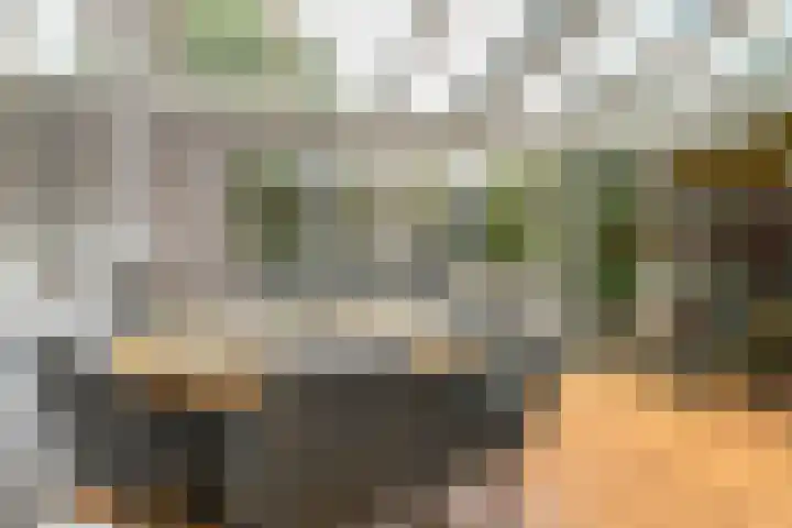 Vlasakker 11 Zoetermeer thumbnail 7