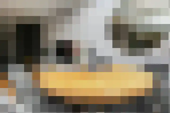Vlasakker 11 Zoetermeer thumbnail 9