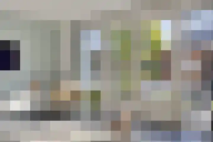 Vlasakker 12 Heino thumbnail 10