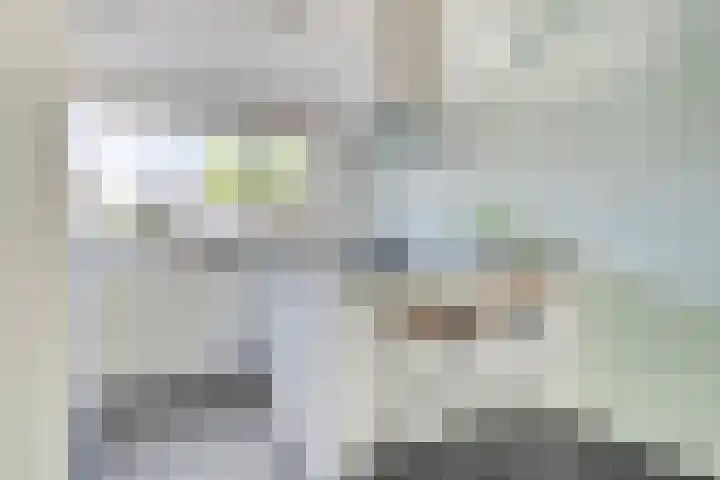 Vlasakker 12 Heino thumbnail 13