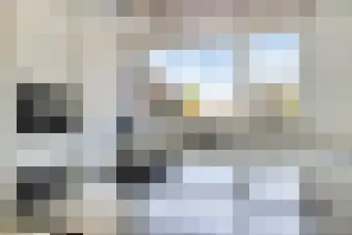 Vlasakker 12 Heino thumbnail 14