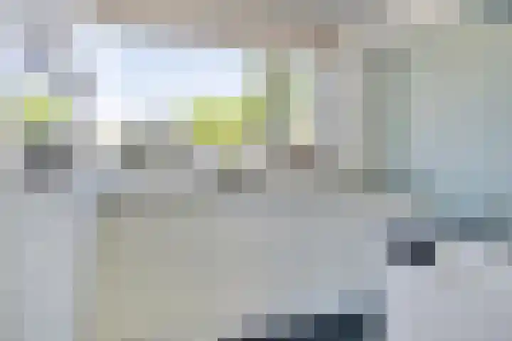 Vlasakker 12 Heino thumbnail 15