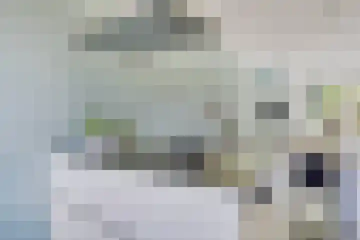 Vlasakker 12 Heino thumbnail 16