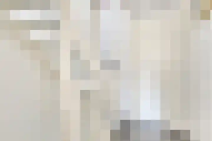 Vlasakker 12 Heino thumbnail 17